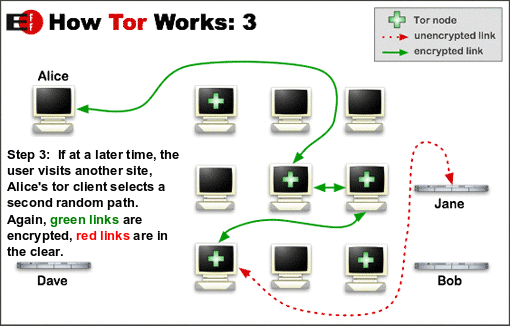 tor3